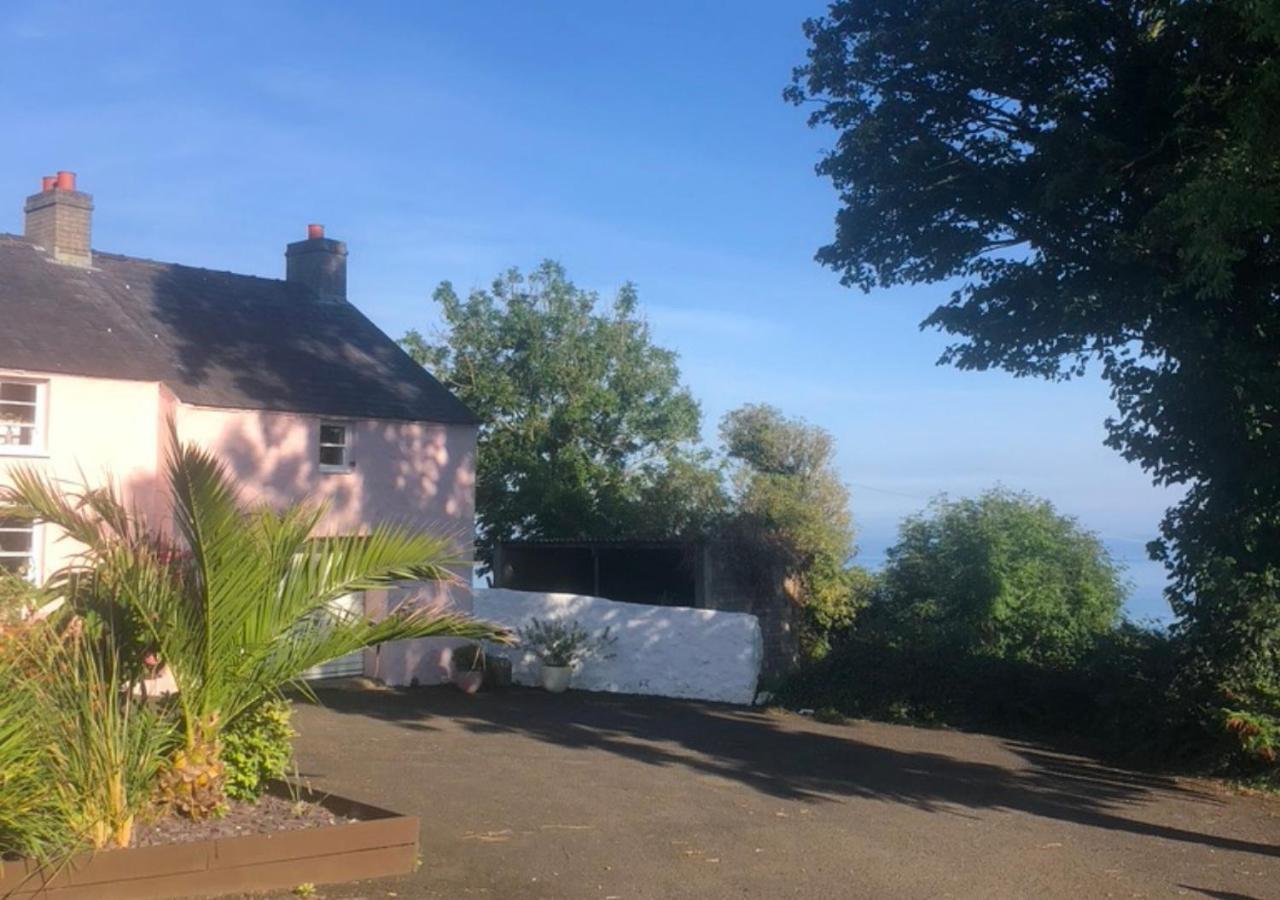 The Pink Upstairs & Garden Summer