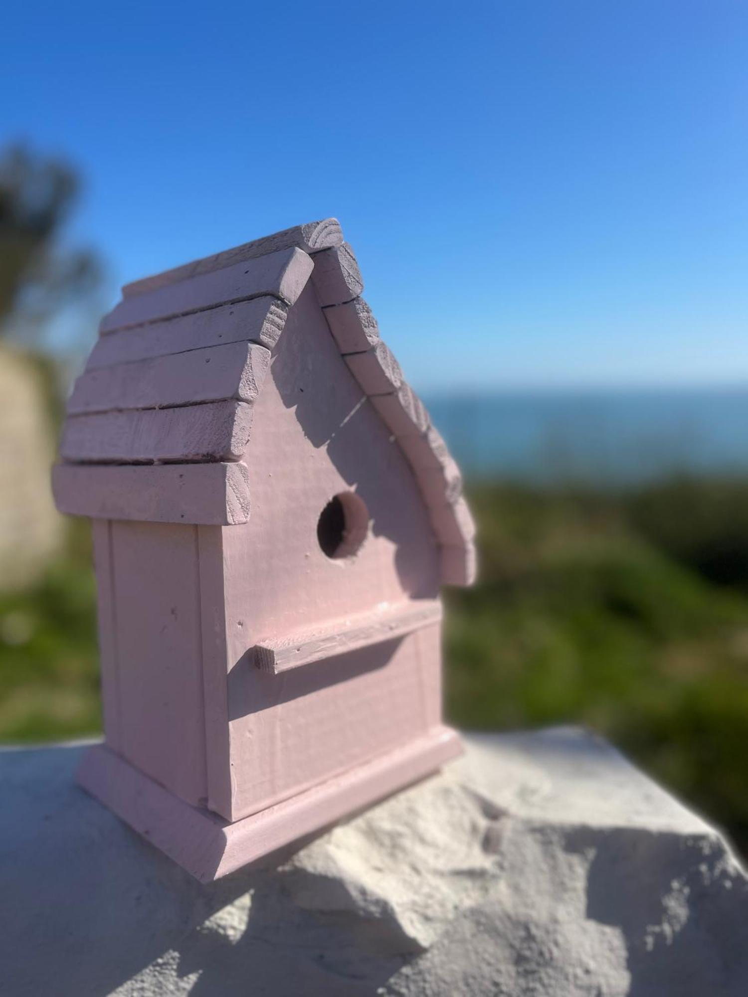 The Pink Upstairs & Garden Summer *